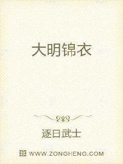大明锦衣 封面