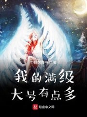我的满级大号有点多 封面
