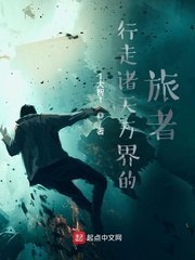 行走诸天万界的旅者 封面