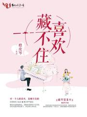 藏不住喜欢 封面