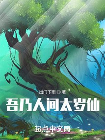 吾乃人间太岁仙 封面