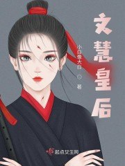 文慧皇后 封面