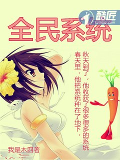 全民系统 封面