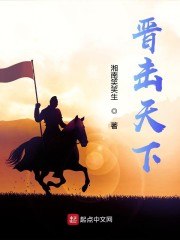 晋击天下 封面