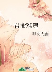 君命难违 封面