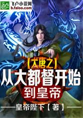 大唐从大都督开始到皇帝 封面