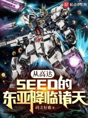 从高达SEED的东亚降临诸天 封面