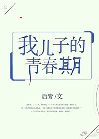 我儿子的青春期 封面