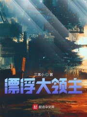 漂浮大领主 封面