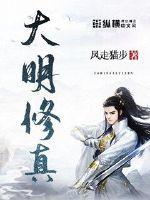 大明修真 封面