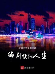 编剧模拟人生 封面