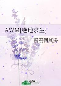 AWM[绝地求生] 封面