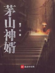 茅山神婿 封面