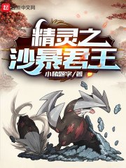 精灵之沙暴君王 封面