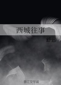 西城往事 封面