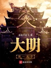 大明第一太子 封面