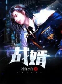 战婿 封面