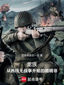 龙族：从西线无战事开始的路明非 封面