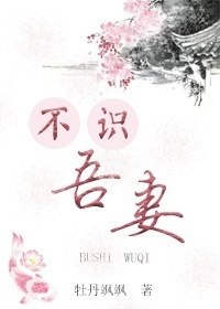 不识吾妻 封面