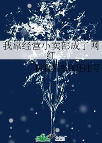 我靠经营小卖部成了网红 封面