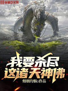 我要杀尽这诸天神佛 封面