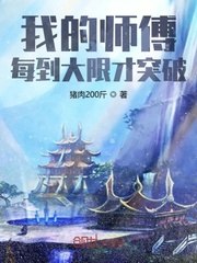 我的师傅每到大限才突破 封面