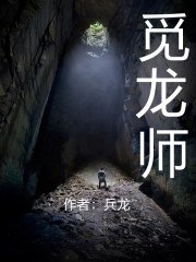 觅龙师 封面