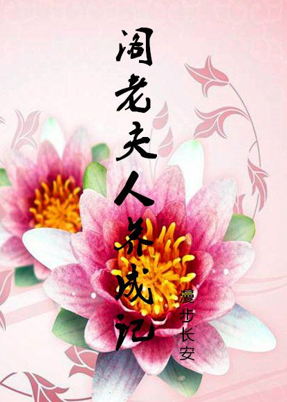 阁老夫人养成记 封面