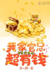 我家官总超有钱 封面