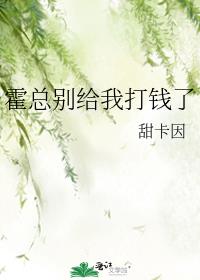 霍总别给我打钱了 封面