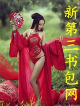 风流之都市后宫 封面