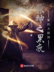 原神之黑夜里的太阳神 封面