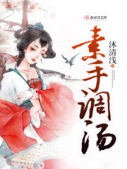 素手调汤 封面