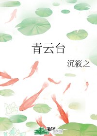 青云台txt沈筱之 封面