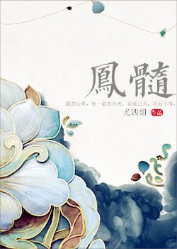 凤髓 封面