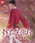 锦衣笑傲行 封面