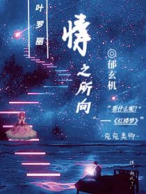 叶罗丽：情之所向 封面