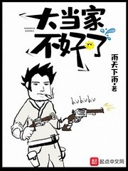 大当家不好了 封面