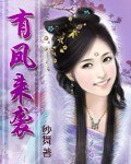 有凤来袭 封面