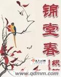 锦堂春 封面