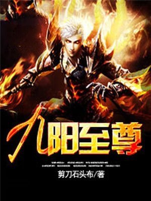 九阳至尊 封面
