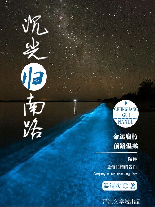 沉光归南路 封面