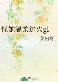 怪她温柔过火gl 封面