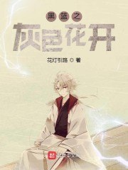 黑篮之灰色花开 封面