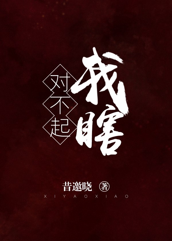 对不起,我瞎 封面