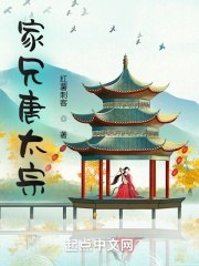 家兄唐太宗 封面