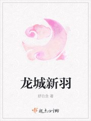 银羽公主 封面