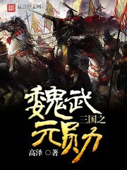 三国之魏武元勋 封面