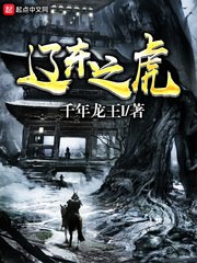 辽东之虎 封面