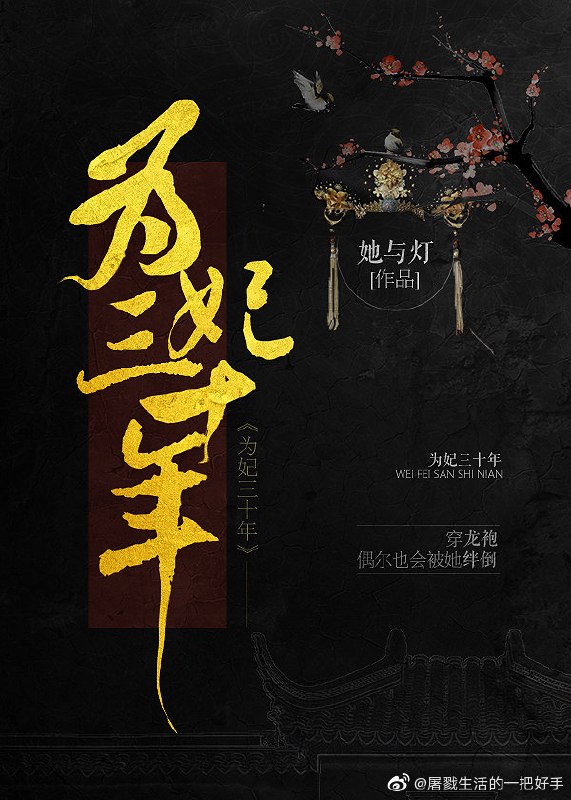 为妃三十年 封面